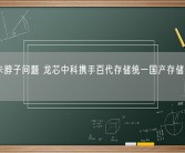 解决卡脖子问题 龙芯中科携手百代存储统一国产存储解决方案!