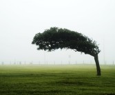 这次“历史罕见”大风有多极端：北京风力达9级 轨道交通地面线停运！