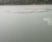 江西一水库水面惊现8米大圆气泡 网友：报警吧！