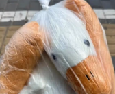网购电动车到货是玩偶 客服消失不见 京东介入！