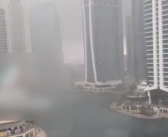 迪拜暴雨过后像“外星人入侵”：交通没有完全恢复！