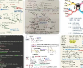 浙大学霸的笔记精美得像教科书 网友：视觉和知识的双重享受！