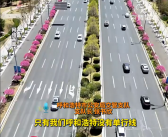 全国省会城市中“独一份”：道路没有单行线 全为双向通行！