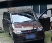 4只狗跑进五菱车内 “开车”撞墙后还有两声喇叭提醒!
