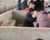 婚宴遇大雪宾客在猪圈里吃席 网友：天篷大酒店！