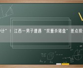 “计中计”！江西一男子遭遇“双重杀猪盘”差点损失38万元