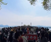 断桥比白蛇找到许仙那天还热闹 “桥面像铺满了人”!