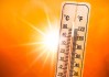 今年夏天热死蚊子 为何这么热：专家解释原因！
