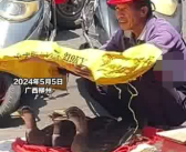 老人自己晒着太阳却给鸭子遮阳  到底啥情况