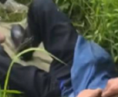 老人被五步蛇咬伤打16支血清保住脚趾 晚半个小时就有生命危险！