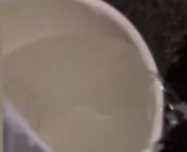 网友为胖猫点奶茶变白水 茶百道回应与其闭店解约！