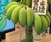 大厂员工离职后卖蕉绿月入200万 最忙的时候日出1万单：“打单机都要冒烟了”！
