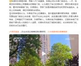 智能门锁带摄像头被邻居告了 法院：判决拆除门锁 对隐私权构成威胁！