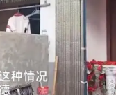 新人结婚当天邻居播放哀乐 背后真相是什么？
