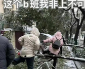 冻雨也挡不住打工人 湖北人上班堪比丛林探险！