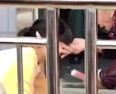 27个重孙排队给老人磕头拜寿 网友：沾沾福寿，人丁兴旺！