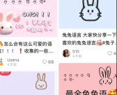 兔兔文在社交媒体走红 ！但因无法翻译成中文 鲜有人能看懂！