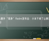 罗永浩意外“现身”Redmi发布会：小米干掉了山寨厂商 功德无量!