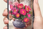 美专家建议母亲节送纸花：80%的鲜花靠进口！