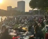 周末感觉一半上海人都在公园 顾村公园一天涌入了10万人次!