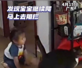 婴儿独自爬出客厅猫咪警觉守护 场景不仅让人感动!