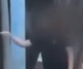 台湾老伯喂狗吃巧克力 狗主人报警 将移请高雄市动保处裁罚！