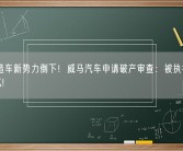 又一造车新势力倒下！威马汽车申请破产审查：被执行金额超1亿!