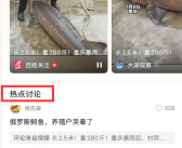 长2.5米！重280斤！重庆暴雨后村民捡到一大鱼：根本抱不动！