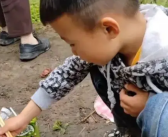 6岁孙子在爷爷坟前吃供品 爸爸回应网友争议！