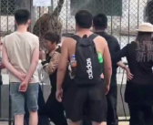 东北虎往游客身上滋尿 到底啥情况