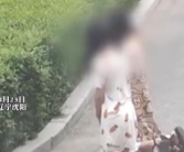 官方回应“沈阳两女子跪在路边”：三人在家玩扑克输了罚跪！网友表示真会玩！