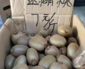因为谐音卖不出去水果 “火聋果”“乡交”“草霉”！