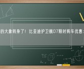 房间里的大象转身了！比亚迪护卫舰07限时购车优惠：直降1.2万！