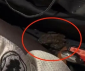 浙江龙泉现强对流天气 网友实拍：车辆积水进蛤蟆！