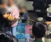 男子买狗不满意退款遭拒当场摔死狗 具体怎么回事？