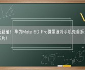 299元超值！华为Mate 60 Pro微泵液冷手机壳首拆：居然暗藏芯片！