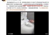 罗永浩呼吁所有企业采购自动换套马桶盖：无利益相关！