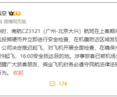 又有旅客向飞机发动机扔硬币！大妈已被带走调查！