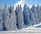 暖气费别忘交 国家气候中心：今年冬天较易出现强降温、强降雪!