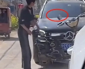 女子因蒜苗被轧怒砸奔驰 警方通报双方就财产损失达成谅解！
