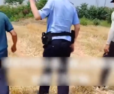 几十亩小麦被人开收割机偷了 当地警方介入调查！