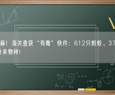 头皮发麻！海关查获“有毒”快件：612只蚂蚁、37只蝎子 全是外来物种！