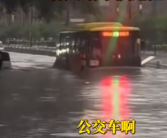 哈尔滨暴雨公交车变“公交船” “这不是司机 这是船长”！