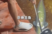 男子在家中建10米长鱼缸养巨骨舌鱼 表示有点刹不住车了！
