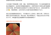 荣耀Magic8系列硬件疯狂堆料：苹果、华为都比不过！