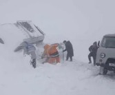 50年不遇暴风雪！蒙古国超300万头牲畜死亡：我国已提供紧急援助！