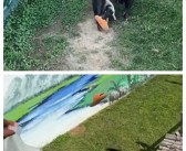 猩猩捡鞋不还：饲养员来了立马认怂!