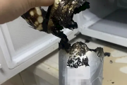 千万别做！奶茶放入微波炉加热 30秒后火光冲天！