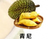 榴莲品种十大排名（榴莲有多少品种）