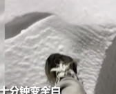 河南鹅毛大雪满天飞 积雪脚脖子深！